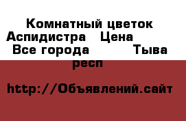 Комнатный цветок Аспидистра › Цена ­ 150 - Все города  »    . Тыва респ.